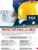 Protección Cabeza 1