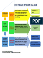 Mapa Semantico de Niveles de Prevencion de La Salud. Rocio Ruiz