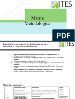 Formatos Matriz de Congruencia Metodologica