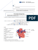 Ficha Nº6 - Circulação Sanguínea - CN