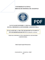 Para Antecedentes Tesis-Sayuri Lopez PDF