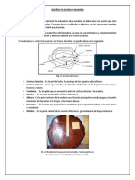 Diseño Metalicas y Maderas