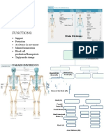 Skeletal System: Functions