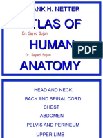 Netter - Atlas of Human Anatomy