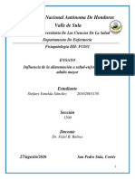 Influencia de La Alimentación A Salud-Enfermedad Del Adulto Mayor