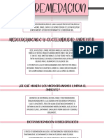 Mapa Conceptual