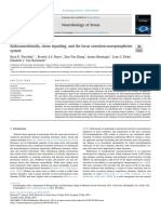 Endocannabinoids, Stress Signaling, and The Locus Coeruleus-Norepinephrine System