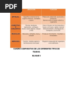 Cuadro Comparativo de Los Tejidos Corporales