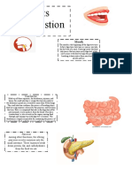 Parts of Digestion: Mouth