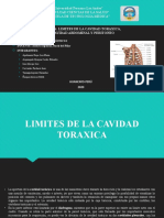 Limites de La Cavidad Toraxica y Division de La Cavidad Abdominal