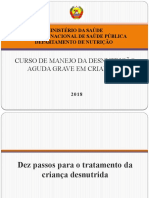 TEMA 10 Dez Passos Desnutrição