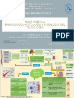 Anatomia, Embriologia y Fisiologia Osea