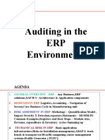 40 Auditing in Erp Environment