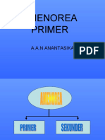 Amenorea Primer: A.A.N Anantasika