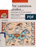 Por Caminos Azules