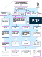 Mapa Conceptual BPL