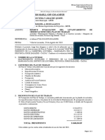 11-Opinion Tecnica-Plan de Trabajo