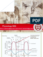 Physio-DES-6 (Cardiac)