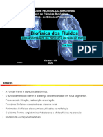 Aula 11 - Biofísica Da Função Renal