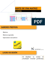 PPT02 Determinantes