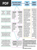 ESM - Teoria Capitalista - Cuadro Sinoptico PDF