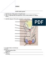 Human Reproduction Worksheet