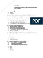 Preguntas Propuestas para Séptimo Básico