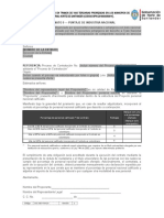 Formato 9 - Puntaje de Industria Nacional