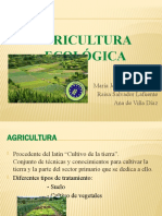 Agricultura Ecologica