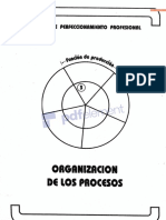 Organización de Los Procesos