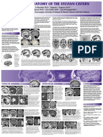 Sylvian Cistern PDF