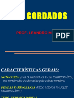 CORDADOS