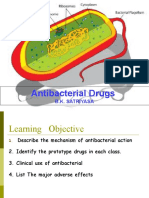 Antibacterial Drugs: B.K. Satriyasa