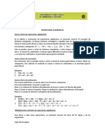 Operaciones Algebraicas PDF