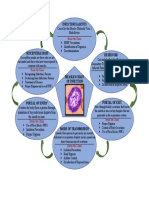 Measles Chain of Infection