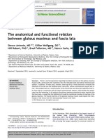 2013 A Stecco - The Anatomical and Functional Relation Between Gluteus Maximus and Fascia Lata.