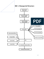 Part 1: EBBL's Managerial Structure: Chief Executive Officer (CEO)