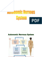 Autonomic Nervous System