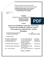 Etude Des Métabolismes Terpénique Et Flavonique D'espèces de La Famille Des Composées, Genres Chrysanthemum Et Rhantherium. Activité Biologique.