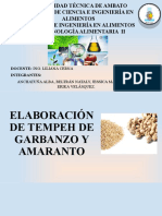 Tempeh Presentación