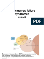 Curs 6 PDF