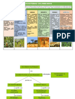 Guía #1 C.N. Problemática Ambiental Dentro de Los Ecosistemas Terrestres.