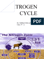 Nitrogen Cycle: By-Siddhant Sethi and Vibhor Sharma Class - 9 - A