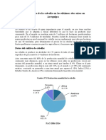 Problemática de La Cebolla en Los Últimos Dos Años en Arequipa