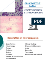 Staphylococcus & Streptococcus