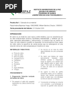 Informe Cobreado