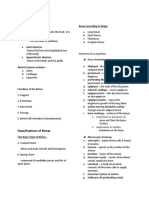 Classifications of Bones: Gross Anatomy