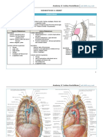 04 Mediastinum, Heart