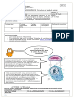 Guía de Trabajo de Ciencias Naturales para Octavo Básico