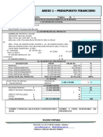 Anexo 1 - Presupuesto Financiero